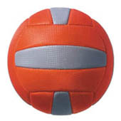  VOLLEYBALL